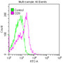 Overlay histogram showing Jurkat cells stained with CAC10012 (red line) at 1:50. The cells were fixed with 70% Ethylalcohol (18h) and then permeabilized with 0.3% Triton X-100 for 2 min.The cells were then incubated in 1x PBS /10% normal goat serum to block non-specific protein-protein interactions followed by primary antibody for 1 h at 4?.The secondary antibody used was FITC goat anti-rabbit IgG (H+L) at 1/200 dilution for 1 h at 4?. Control antibody (green line) was used under the same conditions. Acquisition of >10,000 events was performed.