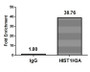 Chromatin Immunoprecipitation Hela (4*106, treated with 30mM sodium crotonylate for 4h) were treated with Micrococcal Nuclease, sonicated, and immunoprecipitated with 5µg anti-HIST1H3A (CAC11367) or a control normal rabbit IgG. The resulting ChIP DNA was quantified using real-time PCR with primers against the ß-Globin promoter.