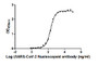 The Binding Activity of SARS-CoV-2-N Antibody with SARS-CoV-2-N; Activity: Measured by its binding ability in a functional ELISA. Immobilized SARS-CoV-2-N at 2 µg/ml can bind SARS-CoV-2-N Antibody, the EC50 is 201.1 ng/ml.