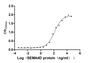 The Binding Activity of Mouse Sema4d with Anti-SEMA4D recombinant antibody.; Activity: Measured by its binding ability in a functional ELISA. Immobilized Mouse Sema4d at 2 µg/mL can bind Anti-SEMA4D recombinant antibody, the EC50 is 98.14-174.8 ng/mL.