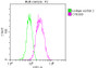 Overlay histogram showing A549 cells stained with CAC11975 (red line) at 1:50. The cells were fixed with 70% Ethylalcohol (18h) and then incubated in 10% normal goat serum to block non-specific protein-protein interactions followedby the antibody (1ug/1*106 cells) for 1 h at 4?.The secondary antibody used was FITC-conjugated goat anti-rabbit IgG (H+L) at 1/200 dilution for 30min at 4?. Control antibody (green line) was Rabbit IgG (1ug/1*106 cells) used under the same conditions. Acquisition of >10,000 events was performed.