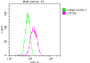 Overlay histogram showing Hela cells stained with CAC12097 (red line) at 1:50. The cells were fixed with 70% Ethylalcohol (18h) and then incubated in 10% normal goat serum to block non-specific protein-protein interactions followedby the antibody (1ug/1*106 cells) for 1 h at 4?.The secondary antibody used was FITC-conjugated goat anti-rabbit IgG (H+L) at 1/200 dilution for 30min at 4?. Control antibody (green line) was Rabbit IgG (1ug/1*106 cells) used under the same conditions. Acquisition of >10,000 events was performed.