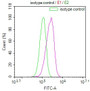 Overlay Peak curve showing HepG2 cells stained with CAC12200 (red line) at 1:100. The cells were fixed in 4% formaldehyde and permeated by 0.2% TritonX-100. Then 10% normal goat serum to block non-specific protein-protein interactions followed by the antibody (1ug/1*106cells) for 45min at 4?. The secondary antibody used was FITC-conjugated Goat Anti-rabbit IgG(H+L) at 1:200 dilution for 35min at 4?.Control antibody (green line) was rabbit IgG (1ug/1*106cells) used under the same conditions. Acquisition of >10,000 events was performed.