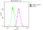 Overlay histogram showing Jurkat cells stained with CAC12213 (red line) at 1:50. The cells were fixed with 70% Ethylalcohol (18h) and then incubated in 10% normal goat serum to block non-specific protein-protein interactions followedby the antibody (1ug/1*106 cells) for 1 h at 4?.The secondary antibody used was FITC-conjugated goat anti-rabbit IgG (H+L) at 1/200 dilution for 30min at 4?. Control antibody (green line) was Rabbit IgG (1ug/1*106 cells) used under the same conditions. Acquisition of >10,000 events was performed.