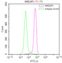 Overlay Peak curve showing SH-SY5Y cells stained with CAC12218 (red line) at 1:50. The cells were fixed in 4% formaldehyde and permeated by 0.2% TritonX-100. Then 10% normal goat serum to block non-specific protein-protein interactions followed by the antibody (1ug/1*106cells) for 45min at 4?. The secondary antibody used was FITC-conjugated Goat Anti-rabbit IgG(H+L) at 1:200 dilution for 35min at 4?.Control antibody (green line) was rabbit IgG (1ug/1*106cells) used under the same conditions. Acquisition of >10,000 events was performed.