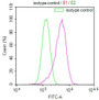 Overlay Peak curve showing HepG2 cells stained with CAC12291 (red line) at 1:100. The cells were fixed in 4% formaldehyde and permeated by 0.2% TritonX-100. Then 10% normal goat serum to block non-specific protein-protein interactions followed by the antibody (1ug/1*106cells) for 45min at 4?. The secondary antibody used was FITC-conjugated Goat Anti-rabbit IgG(H+L) at 1:200 dilution for 35min at 4?.Control antibody (green line) was rabbit IgG (1ug/1*106cells) used under the same conditions. Acquisition of >10,000 events was performed.