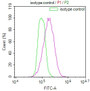 Overlay Peak curve showing Hela cells stained with CAC12295 (red line) at 1:100. The cells were incubated in 10% normal goat serum to block non-specific protein-protein interactions followed by the antibody (1ug/1*106cells) for 45min at 4?. The secondary antibody used was FITC-conjugated Goat Anti-rabbit IgG(H+L) at 1:200 dilution for 35min at 4?.Control antibody (green line) was rabbit IgG (1ug/1*106cells) used under the same conditions. Acquisition of >10,000 events was performed.