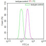 Overlay Peak curve showing Hela cells stained with CAC12321 (red line) at 1:100. The cells were fixed in 4% formaldehyde and permeated by 0.2% TritonX-100. Then 10% normal goat serum to block non-specific protein-protein interactions followed by the antibody (1ug/1*106cells) for 45min at 4?. The secondary antibody used was FITC-conjugated Goat Anti-rabbit IgG(H+L) at 1:200 dilution for 35min at 4?.Control antibody (green line) was rabbit IgG (1ug/1*106cells) used under the same conditions. Acquisition of >10,000 events was performed.