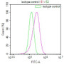 Overlay Peak curve showing HepG2 cells stained with CAC12398 (red line) at 1:100. The cells were fixed in 4% formaldehyde and permeated by 0.2% TritonX-100. Then 10% normal goat serum to block non-specific protein-protein interactions followed by the antibody (1ug/1*106cells) for 45min at 4?. The secondary antibody used was FITC-conjugated Goat Anti-rabbit IgG(H+L) at 1:200 dilution for 35min at 4?.Control antibody (green line) was rabbit IgG (1ug/1*106cells) used under the same conditions. Acquisition of >10,000 events was performed.