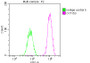 Overlay histogram showing HepG2 cells stained with CAC12418 (red line) at 1:50. The cells were fixed with 70% Ethylalcohol (18h) and then incubated in 10% normal goat serum to block non-specific protein-protein interactions followedby the antibody (1ug/1*106 cells) for 1 h at 4?.The secondary antibody used was FITC-conjugated goat anti-rabbit IgG (H+L) at 1/200 dilution for 30min at 4?. Control antibody (green line) was Rabbit IgG (1ug/1*106 cells) used under the same conditions. Acquisition of >10,000 events was performed.