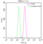 Overlay Peak curve showing HepG2 cells stained with CAC12514 (red line) at 1:50. The cells were fixed in 4% formaldehyde and permeated by 0.2% TritonX-100. Then 10% normal goat serum to block non-specific protein-protein interactions followed by the antibody (1ug/1*106cells) for 45min at 4?. The secondary antibody used was FITC-conjugated Goat Anti-rabbit IgG(H+L) at 1:200 dilution for 35min at 4?.Control antibody (green line) was rabbit IgG (1ug/1*106cells) used under the same conditions. Acquisition of >10,000 events was performed.