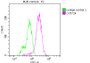 Overlay histogram showing Hela cells stained with CAC12550 (red line) at 1:50. The cells were incubated in 10% normal goat serum to block non-specific protein-protein interactions followedby the antibody (1ug/1*106 cells) for 1 h at 4?.The secondary antibody used was FITC-conjugated goat anti-rabbit IgG (H+L) at 1/200 dilution for 30min at 4?. Control antibody (green line) was Rabbit IgG (1ug/1*106 cells) used under the same conditions. Acquisition of >10,000 events was performed.