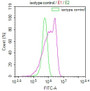 Overlay Peak curve showing HepG2 cells stained with CAC12559 (red line) at 1:100. The cells were fixed in 4% formaldehyde and permeated by 0.2% TritonX-100. Then 10% normal goat serum to block non-specific protein-protein interactions followed by the antibody (1ug/1*106cells) for 45min at 4?. The secondary antibody used was FITC-conjugated Goat Anti-rabbit IgG(H+L) at 1:200 dilution for 35min at 4?.Control antibody (green line) was rabbit IgG (1ug/1*106cells) used under the same conditions. Acquisition of >10,000 events was performed.