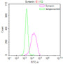 Overlay Peak curve showing HepG2 cells stained with CAC12568 (red line) at 1:50. The cells were fixed in 4% formaldehyde and permeated by 0.2% TritonX-100. Then 10% normal goat serum to block non-specific protein-protein interactions followed by the antibody (1ug/1*106cells) for 45min at 4?. The secondary antibody used was FITC-conjugated Goat Anti-rabbit IgG(H+L) at 1:200 dilution for 35min at 4?.Control antibody (green line) was rabbit IgG (1ug/1*106cells) used under the same conditions. Acquisition of >10,000 events was performed.