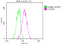 Overlay histogram showing Hela cells stained with CAC12603 (red line) at 1:50. The cells were fixed with 70% Ethylalcohol (18h) and then incubated in 10% normal goat serum to block non-specific protein-protein interactions followedby the antibody (1ug/1*106 cells) for 1 h at 4?.The secondary antibody used was FITC-conjugated goat anti-rabbit IgG (H+L) at 1/200 dilution for 30min at 4?. Control antibody (green line) was Rabbit IgG (1ug/1*106 cells) used under the same conditions. Acquisition of >10,000 events was performed.