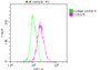 Overlay histogram showing A549 cells stained with CAC12642 (red line) at 1:50. The cells were fixed with 70% Ethylalcohol (18h) and then incubated in 10% normal goat serum to block non-specific protein-protein interactions followedby the antibody (1ug/1*106 cells) for 1 h at 4?.The secondary antibody used was FITC-conjugated goat anti-rabbit IgG (H+L) at 1/200 dilution for 30min at 4?. Control antibody (green line) was Rabbit IgG (1ug/1*106 cells) used under the same conditions. Acquisition of >10,000 events was performed.