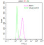 Overlay Peak curve showing MCF7 cells stained with CAC12669 (red line) at 1:400. Then 10% normal goat serum was Incubated to block non-specific protein-protein interactions followed by the antibody (1ug/1*106cells) for 45 min at 4°C. The secondary antibody used was FITC-conjugated Goat Anti-Mouse IgG(H+L) at 1/200 dilution for 35 min at 4°C. Isotype control antibody (green line) was mouse IgG1 (1ug/1*106cells) used under the same conditions. Acquisition of >10,016 events was performed.