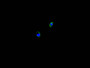 Immunofluorescence staining of HepG2 cell with CAC12675 at 1:250, counter-stained with DAPI. The cells were fixed in 4% formaldehyde and blocked in 10% normal Goat Serum. The cells were then incubated with the antibody overnight at 4C. The secondary antibody was FITC-conjugated AffiniPure Goat Anti-Mouse IgG(H+L).