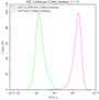 Untransfected HEK293T cells (green line) and transfected Human CLDN6 HEK293T stable cells (red line) were stained with anti-CLDN6/9 recombinant antibody (2ug/1*106cells), washed and then followed by FITC-conjugated anti-Human IgG Fc antibody and analyzed with flow cytometry.