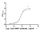 The Binding Activity of Huamn CNR1 with Anti-CNR1 recombinant Antibody; Activity: Measured by its binding ability in a functional ELISA. Immobilized Human CNR1 at 10 ug/ml can bind Anti-CNR1 recombinant antibody, the EC50 is 41.72-63.54 ng/ml.