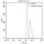 Overlay Peak curve showing Hela cells stained with CAC12735 (red line) at 1:50. Then 10% normal goat serum was Incubated to block non-specific protein-protein interactions followed by the antibody (1ug/1*106cells) for 45 min at 4°C. The secondary antibody used was FITC-conjugated Goat Anti-Mouse IgG(H+L) at 1/200 dilution for 35 min at 4°C. Isotype control antibody (green line) was mouse IgG1 (1ug/1*106cells) used under the same conditions. Acquisition of >10, 008 events was performed.