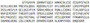 Recombinant Cyclin Dependent Kinase 1 (CDK1), RPU41073