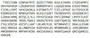 Recombinant FK506 Binding Protein 5 (FKBP5), RPU41509