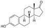 OVA Conjugated Estrone (E1), RPU50938