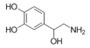 BSA Conjugated Noradrenaline (NE), RPU51265