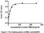 MBL2 (Mannose-binding protein C) is a calcium-dependent lectin involved in innate immune defense, which binds mannose, fucose and N-acetylglucosamine on different microorganisms, therefore results in activation of the lectin pathway of the complement system. It has been proven that MASP-2 (Mannan-binding lectin serine protease 2) forms complexes with the pattern recognition molecules MBL2, triggers the activation of the complement system. Thus, a functional binding ELISA assay was constructed to detect the association of rhMBL2 with MASP2. Briefly, rhMBL2 were diluted serially in 10mM Tris-HCl, 1M NaCl, 5mM CaCl2, and 0.05%Triton X-100 (pH 7.4). Duplicate samples of 100uL were then transferred to MASP2-coated microtiter wells and incubated for 2h at 37oC. Wells were washed with PBST and incubated for 1h with anti-MBL2 mAb, then aspirated and washed 3 times. After incubation with HRP labeled secondary antibody, wells were aspirated and washed 3 times. With the addition of substrate solution , wells were incubated for 15-25 minutes at 37oC. Finally, add 50µL stop solution to the wells and read at 450nm immediately. The binding activity of MBL2 with MASP2 was shown in Figure 1 and this effect was in a dose dependent manner.