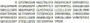 Recombinant Low Density Lipoprotein Receptor Related Protein 4 (LRP4), RPU52878