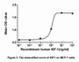 The dose-effect curve of IGF1 was shown in Figure2. It was obvious that IGF1 significantly promoted cell proliferation of MCF-7 cells. The ED50 for this effect is typically 8.66~17.19 ng/mL.