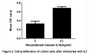 Pro-IL16 (Interleukin16) is a 631 amino acid precursor molecule, which is then cleaved into different isoforms. Researches have shown that the recombinant human IL16, containing C-terminal 130 amino acids, has same bioactivity as the natural secreted human IL16. Besides, IL16 has been considered to stimulate the proliferation of Jurkat cells at low dose (10-9 M). Thus, a proliferation assay of recombinant human IL16 was conducted using Jurkat cells. Briefly, Jurkat cells were seeded into triplicate wells of 96-well plates at a density of 10, 000 cells/well in RPMI-1640 with the addition of various concentrations of IL16. After incubated for 72h, cells were observed by inverted microscope and cell proliferation was measured by Cell Counting Kit-8 (CCK-8). Briefly, 10µL of CCK-8 solution was added to each well of the plate, then the absorbance at 450nm was measured using a microplate reader after incubating the plate for 1-4 hours at 37°C. Cell proliferation of Jurkat cells after incubation with IL16 for 72h observed by inverted microscope was shown in Figure 1. The CCK-8 data was shown in Figure 2. It was obvious that IL16 significantly promoted cell proliferation of Jurkat cells.