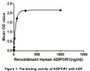 ADIPOR1 (Adiponectin receptor protein 1) is a receptor for ADP (30kDa adipocyte complement-related protein), an essential hormone secreted by adipocytes that regulates glucose and lipid metabolism. ADIPOQ-binding activates a signaling cascade that leads to increased AMPK activity, and ultimately to increased fatty acid oxidation, increased glucose uptake and decreased gluconeogenesis. Besides, human ADP and rat ADP exist similarities in amino acid sequence with the identity of 83.2%. Thus a binding ELISA assay was conducted to detect the interaction of recombinant human ADIPOR1 and recombinant rat ADP. Briefly, ADIPOR1 were diluted serially in PBS, with 0.01%BSA (pH 7.4). Duplicate samples of 100uL were then transferred to ADP-coated microtiter wells and incubated for 2h at 37°C. Wells were washed with PBST and incubated for 1h with anti-ADIPOR1 pAb, then aspirated and washed 3 times. After incubation with HRP labelled secondary antibody, wells were aspirated and washed 3 times. With the addition of substrate solution, wells were incubated 15-25 minutes at 37°C. Finally, add 50µL stop solution to the wells and read at 450nm immediately. The binding activity of of ADIPOR1 and ADP was shown in Figure 1, and this effect was in a dose dependent manner.