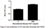 FGF23 (Fibroblast growth factor 23) is a member of the fibroblast growth factor family, which possess broad mitogenic and cell survival activities and are involved in a variety of biological processes. A proliferation assay was conducted to detect the bioactivity of recombinant mouse FGF23 using 3T3 cells. Briefly, 3T3 cells were seeded into triplicate wells of 96-well plates at a density of 2,000 cells/well and allowed to attach overnight, then the medium was replaced with serum-free standard DMEM prior to the addition of various concentrations of FGF23. After incubated for 48h, cells were observed by inverted microscope and cell proliferation was measured by Cell Counting Kit-8 (CCK-8). Briefly, 10µL of CCK-8 solution was added to each well of the plate, then the absorbance at 450nm was measured using a microplate reader after incubating the plate for 1-4 hours at 37℃. Proliferation of 3T3 cells after incubation with FGF23 for 48h observed by inverted microscope was shown in Figure 1. Cell viability was assessed by CCK-8 (Cell Counting Kit-8 ) assay after incubation with recombinant FGF23 for 48h. The result was shown in Figure 2. It was obvious that FGF23 significantly increased cell viability of 3T3 cells.