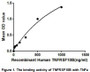 TNFRSF10B (Tumor necrosis factor receptor superfamily member 10B) is a member of the TNF-receptor superfamily, and contains an intracellular death domain. By binding to certain ligand, this receptor transduces an apoptosis signal. A binding ELISA assay was conducted to detect the association of FAS with TNFa. Briefly, FAS were diluted serially in PBS, with 0.01%BSA (pH 7.4). Duplicate samples of 100uL FAS were then transferred to TNFa-coated microtiter wells and incubated for 2h at 37℃. Wells were washed with PBST and incubated for 1h with anti-FAS pAb, then aspirated and washed 3 times. After incubation with HRP labelled secondary antibody, wells were aspirated and washed 3 times. With the addition of substrate solution, wells were incubated 15-25 minutes at 37℃. Finally, add 50µL stop solution to the wells and read at 450nm immediately. The binding activity of FAS and TNFa was shown in Figure 1, and this effect was in a dose dependent manner.