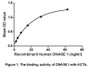 Deoxyribonuclease I (usually called DNase I) is a nonspecific endonuclease that cleaves DNA preferentially at phosphodiester linkages adjacent to a pyrimidine nucleotide, yielding 5'-phosphate-terminated polynucleotides with a free hydroxyl group on position 3', on average producing tetranucleotides. It acts on single-stranded DNA, double-stranded DNA, and chromatin. DNase I can be activated by bivalent metals such as Mg2  and Ca2 . This endonuclease enzyme is common reagents used in biochemical methods requiring diestion of DNA and recovery of RNA, or where DNA is to be removed without affecting structural proteins or enzymes. For example, DNase I is frequently used to remove template DNA following in vitro transcription, and to remove contaminating DNA in total RNA preparations (especially those from transfected cells that may contain plasmid DNA), used for ribonuclease protection assays, cDNA library contraction, and RT-PCR. Besides, Actin Beta (ACTb) has been identified as an interactor of DNase I, thus a binding ELISA assay was conducted to detect the interaction of recombinant human DNase I and recombinant human ACTb. Briefly, DNase I were diluted serially in PBS, with 0.01% BSA (pH 7.4). Duplicate samples of 100uL were then transferred to ACTb-coated microtiter wells and incubated for 2h at 37℃. Wells were washed with PBST and incubated for 1h with anti-DNase I pAb, then aspirated and washed 3 times. After incubation with HRP labelled secondary antibody, wells were aspirated and washed 3 times. With the addition of substrate solution, wells were incubated 15-25 minutes at 37℃. Finally, add 50µL stop solution to the wells and read at 450nm immediately. The binding activity of of DNase I and ACTb was shown in Figure 1, and this effect was in a dose dependent manner.