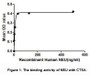 NEU (Sialidase-1) is an enzyme that catalyzes the removal of sialic acid (N-acetylneuraminic acid) moities from glycoproteins and glycolipids. In the lysosome, this enzyme is part of a heterotrimeric complex together with beta-galactosidase and cathepsin A (CTSA). Thus a binding ELISA assay was conducted to detect the interaction of recombinant human NEU and recombinant human CTSA. Briefly, NEU were diluted serially in PBS, with 0.01%BSA (pH 7.4). Duplicate samples of 100uL were then transferred to CTSA-coated microtiter wells and incubated for 2h at 37°C. Wells were washed with PBST and incubated for 1h with anti-NEU pAb, then aspirated and washed 3 times. After incubation with HRP labelled secondary antibody, wells were aspirated and washed 3 times. With the addition of substrate solution, wells were incubated 15-25 minutes at 37°C. Finally, add 50µL stop solution to the wells and read at 450nm immediately. The binding activity of NEU and CTSA was shown in Figure 1, and this effect was in a dose dependent manner.