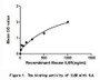 IL6R (Interleukin-6 receptor subunit alpha) is part of the receptor for interleukin 6. The interaction of IL6R and IL6 may lead to the regulation of the immune response, acute-phase reactions and hematopoiesis. Thus, a binding ELISA assay was conducted to detect the association of IL6R with IL6. Briefly, IL6R were diluted serially in PBS with 0.01%BSA (pH 7.4). Duplicate samples of 100uL were then transferred to IL6-coated microtiter wells and incubated for 2h at 37°C. Wells were washed with PBST and incubated for 1h with anti-IL6R pAb, then aspirated and washed 3 times. After incubation with HRP labelled secondary antibody, wells were aspirated and washed 3 times. With the addition of substrate solution, wells were incubated 15-25 minutes at 37°C. Finally, add 50µL stop solution to the wells and read at 450nm immediately. The binding activity of IL6R with IL6 was shown in Figure 1 and this effect was in a dose dependent manner.