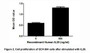 IL20 (Interleukin-20) is a cytokine structurally related to interleukin 10, which is produced by activated keratinocytes and monocytes. It is accepted that IL20 regulates proliferation and differentiation of keratinocytes during inflammation, particularly inflammation associated with the skin. Thus, proliferation assay of IL20 was conducted using ECV-304 cells. Briefly, ECV-304 cells were seeded into triplicate wells of 96-well plates at a density of 2,000 cells/well and allowed to attach overnight, then the medium was replaced with serum-free standard 1640 prior to the addition of various concentrations of IL20. After incubated for 48h, cells were observed by inverted microscope and cell proliferation was measured by Cell Counting Kit-8 (CCK-8). Briefly, 10µL of CCK-8 solution was added to each well of the plate, then the absorbance at 450nm was measured using a microplate reader after incubating the plate for 1-4 hours at 37°C. Proliferation of ECV-304 cells after incubation with IIL20 for 48h observed by inverted microscope was shown in Figure 1. Cell viability was assessed by CCK-8 (Cell Counting Kit-8 ) assay after incubation with human recombinant IL20 for 48h. The result was shown in Figure 2. It was obvious that human IL20 significantly decreased cell viability of ECV-304 cells.