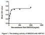 ENDOG (Endonuclease G) is a mitochondrial enzyme that cleaves DNA at double-stranded (DG)n. (DC)n and at single-stranded (DC)n tracts. This protein also has ribonuclease (RNase) and RNase H activities. It has been reported that EndoG forms complexes with some other proteins, including HSP70 (Heat shock 70 kDa protein). Besides, mouse HSPA1A (Heat shock 70 kDa protein 1A) shares similarities with rat HSP1A1 in amino acid sequence with the identity of 98.44%. Thus, a binding ELISA assay was conducted to detect the association of recombinant rat ENDOG with recombinant mouse HSPA1A. Briefly, ENDOG were diluted serially in PBS with 0.01%BSA (pH 7.4). Duplicate samples of 100uL were then transferred to HSP1A1-coated microtiter wells and incubated for 2h at 37°C. Wells were washed with PBST and incubated for 1h with anti-ENDOG pAb, then aspirated and washed 3 times. After incubation with HRP labelled secondary antibody, wells were aspirated and washed 3 times. With the addition of substrate solution, wells were incubated 15-25 minutes at 37°C. Finally, add 50µL stop solution to the wells and read at 450nm immediately. The binding activity of ENDOG with HSP1A1 was shown in Figure 1 and this effect was in a dose dependent manner.