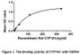 Cytochrome P450 1A1 (CYP1A1) is a member of Cytochromes P450 superfamily of enzymes. Cytochromes P450 are a group of heme-thiolate monooxygenases. It oxidizes a variety of structurally unrelated compounds, including steroids, fatty acids, and xenobiotics. CYP1A1 is also known as AHH (aryl hydrocarbon hydroxylase). It is involved in the metabolic activation of aromatic hydrocarbons (polycyclic aromatic hydrocarbons, PAH). Besides, Heat Shock 70kDa Protein 4 (HSPA4) has been identified as an interactor of CYP1A1, thus a binding ELISA assay was conducted to detect the interaction of recombinant rat CYP1A1 and recombinant rat HSPA4. Briefly, CYP1A1 were diluted serially in PBS, with 0.01% BSA (pH 7.4). Duplicate samples of 100uL were then transferred to HSPA4-coated microtiter wells and incubated for 2h at 37℃. Wells were washed with PBST and incubated for 1h with anti-CYP1A1 pAb, then aspirated and washed 3 times. After incubation with HRP labelled secondary antibody, wells were aspirated and washed 3 times. With the addition of substrate solution, wells were incubated 15-25 minutes at 37℃. Finally, add 50µL stop solution to the wells and read at 450nm immediately. The binding activity of of CYP1A1 and HSPA4 was shown in Figure 1, and this effect was in a dose dependent manner.
