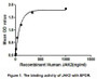 JAK2 (Tyrosine-protein kinase JAK2) is a tyrosine kinase involved in various processes such as cell growth, development, differentiation or histone modifications. JAK2 is considered to associate with some type I receptors, including EPOR (Erythropoietin receptor), therefore participates in cellular signal transduction. Thus a binding ELISA assay was conducted to detect the interaction of recombinant human JAK2 and recombinant human EPOR. Briefly, JAK2 were diluted serially in PBS, with 0.01%BSA (pH 7.4). Duplicate samples of 100uL JAK2 were then transferred to EPOR-coated microtiter wells and incubated for 2h at 37°C. Wells were washed with PBST and incubated for 1h with anti-JAK2 pAb, then aspirated and washed 3 times. After incubation with HRP labelled secondary antibody, wells were aspirated and washed 3 times. With the addition of substrate solution, wells were incubated 15-25 minutes at 37°C. Finally, add 50µL stop solution to the wells and read at 450nm immediately. The binding activity of JAK2 and EPOR was shown in Figure 1, and this effect was in a dose dependent manner.