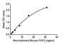 Figure. The binding activity of FGF2 with CASP1.