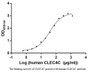 Measured by its binding ability in a functional ELISA. Immobilized CLEC4C protein at 1 μg/ml can bind human CLEC4C antibody, the EC50 of human CLEC4C antibody is 31.43-43.52 μg/ml.