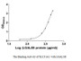 Measured by its binding ability in a functional ELISA. Immobilized SLC31A1 at 5 μg/ml can bind human LGALS8, the EC50 of human LGALS8 is 373.90-524.30 μg/ml.