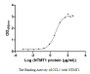 Measured by its binding ability in a functional ELISA. Immobilized CCL5 at 2 μg/ml can bind human NTMT1, the EC50 of human NTMT1 protein is 3.029-5.404 μg/ml.