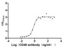 Measured by its binding ability in a functional ELISA. Immobilized CD48 at 2 μg/ml can bind Anti-CD48 rabbit monoclonal antibody, the EC50 of human CD48 protein is 0.5806-0.8463 ng/ml.