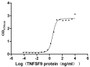 Measured by its binding ability in a functional ELISA. Immobilized TNFSF9 at 2 μg/mL can bind TNFRSF9, the EC50 is 2.671-3.702 ng/mL.