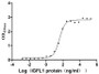 Measured by its binding ability in a functional ELISA. Immobilized Human IGFLR1 at 2 μg/mL can bind Human IGFL1, the EC50 is 32.33-47.52 ng/mL.